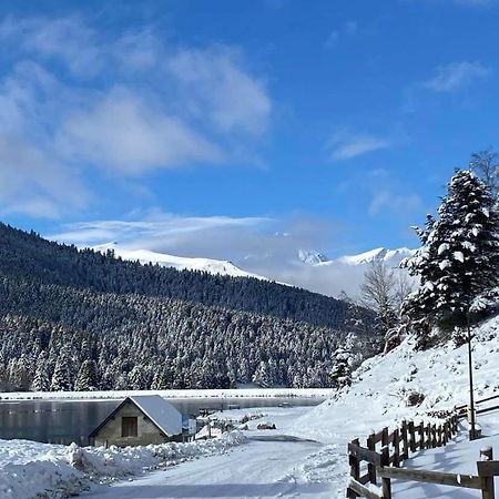 Gite Du Montagnol A Payolle Sainte-Marie-de-Campan Εξωτερικό φωτογραφία