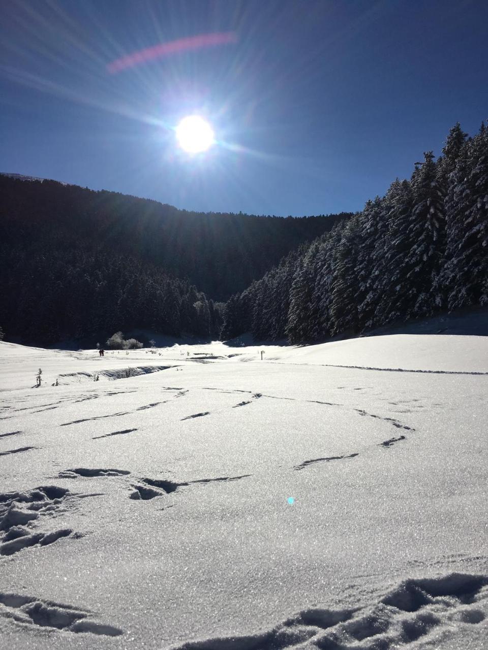 Gite Du Montagnol A Payolle Sainte-Marie-de-Campan Εξωτερικό φωτογραφία
