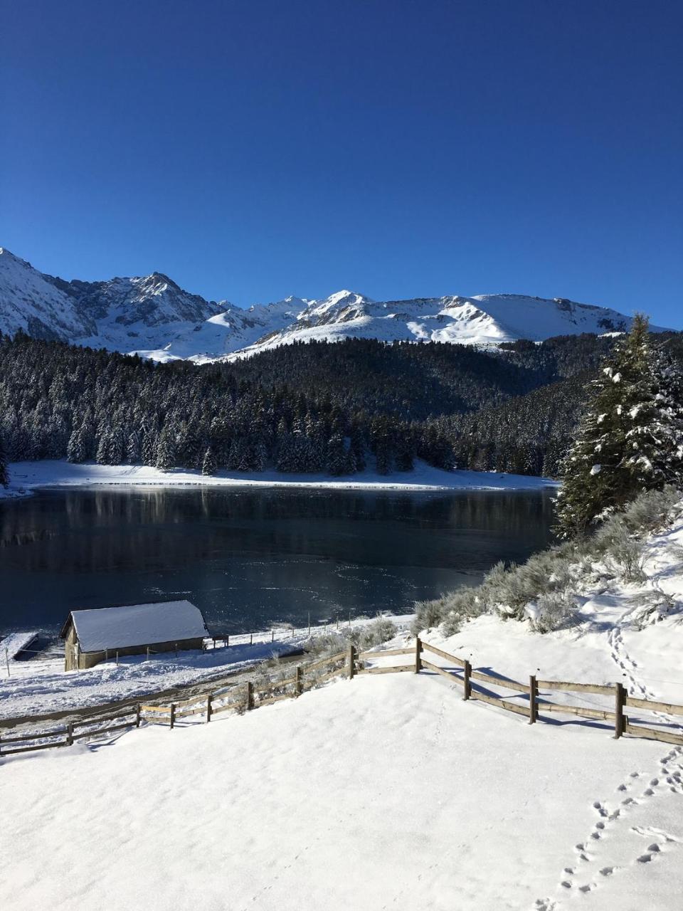 Gite Du Montagnol A Payolle Sainte-Marie-de-Campan Εξωτερικό φωτογραφία
